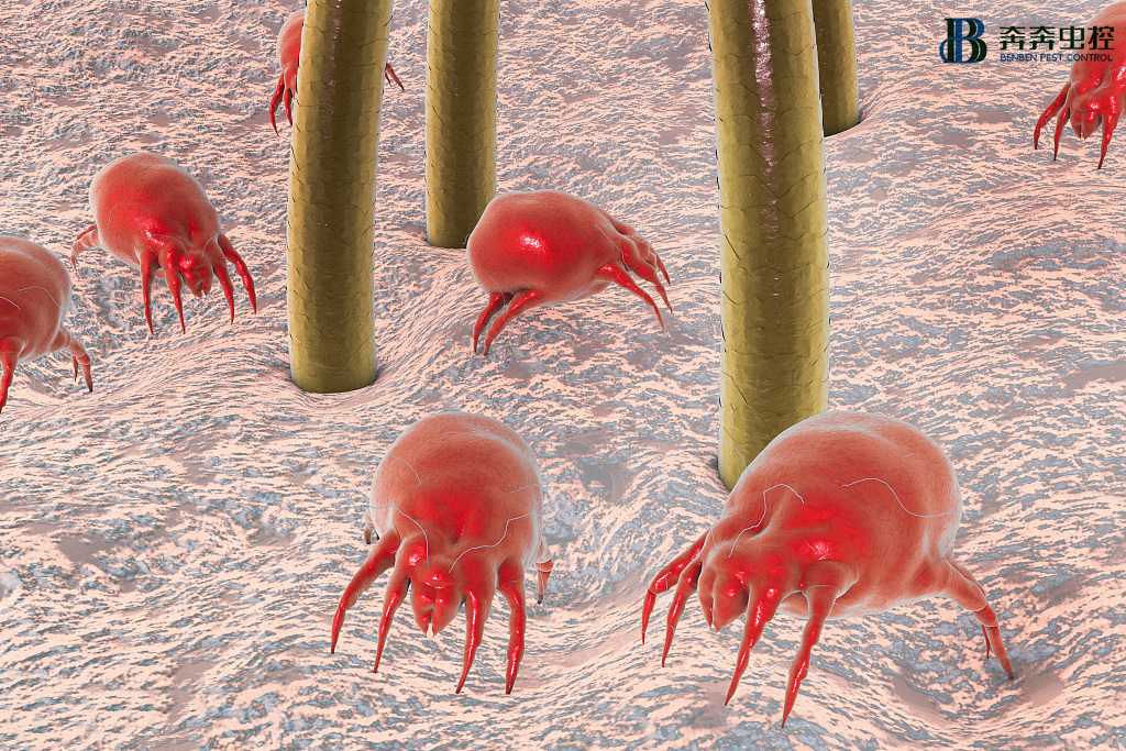 不勤洗床單被套有多可怕？