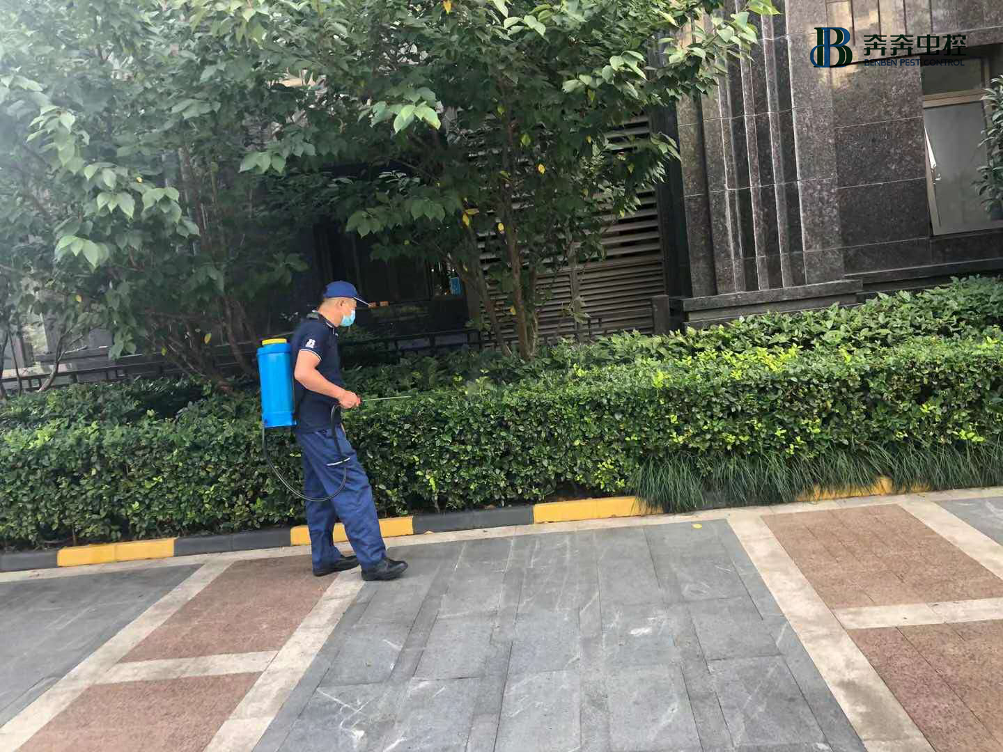 上海專業(yè)滅蟑螂公司&mdash;&mdash;您身邊的滅蟲害專家