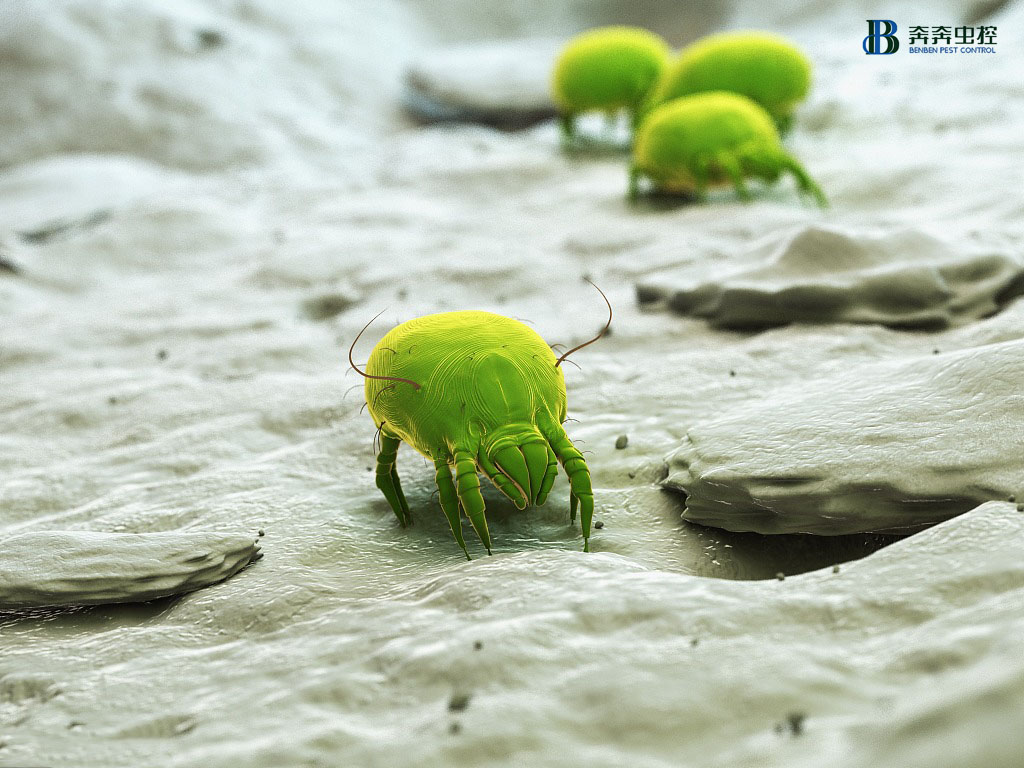 與＂它&ldquo;同居的日子