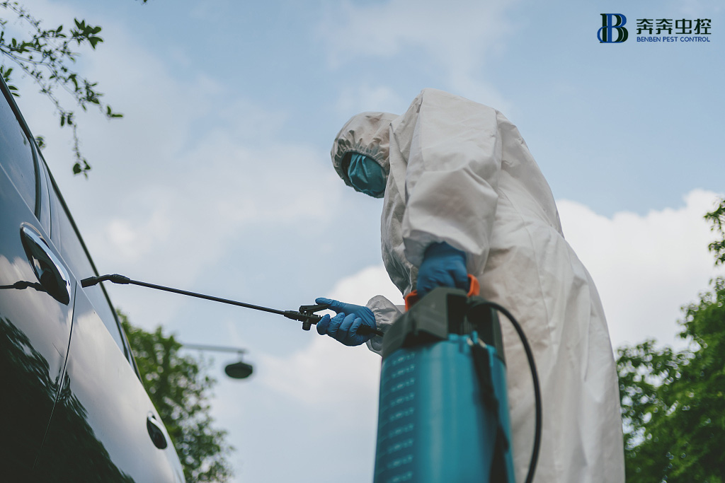 上海殺蟲公司眾多，怎么選擇？
