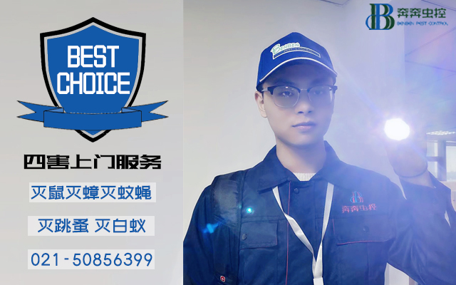 上海奔奔蟲(chóng)控專(zhuān)業(yè)滅老鼠，百姓放心公司