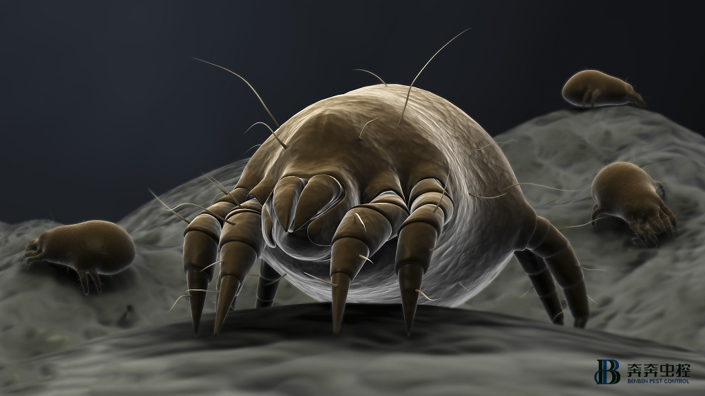 這些常見過敏原，&ldquo;潛伏&rdquo;家居三大&ldquo;死角&rdquo;