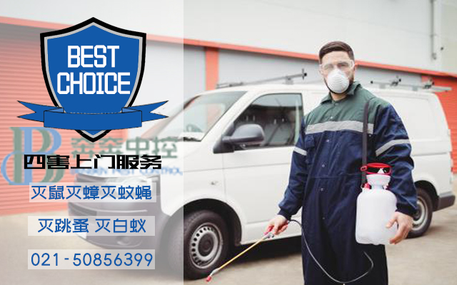 高效殺蟲(chóng)服務(wù)，盡在奔奔蟲(chóng)控殺蟲(chóng)公司