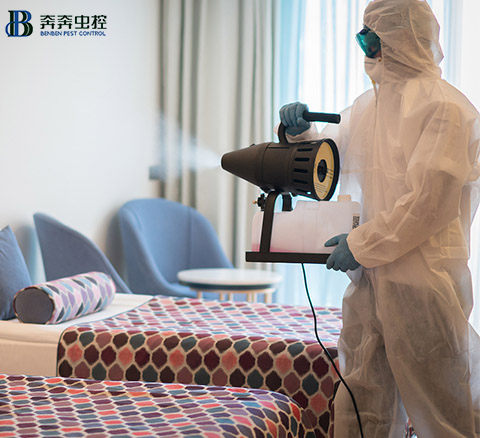 家里都是細(xì)菌？那該如何給房子消毒呢？