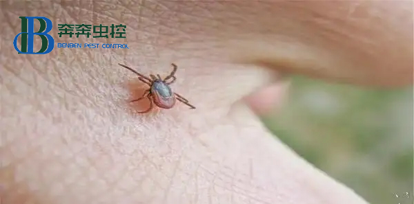蜱蟲(chóng)要遠(yuǎn)離！