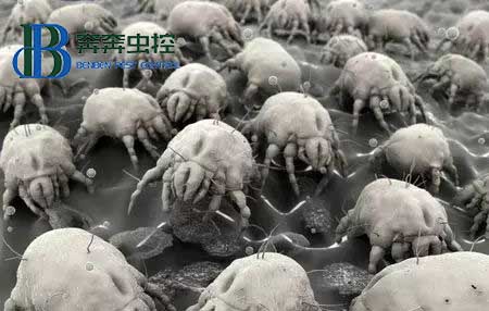 原來(lái)毛衣里才是它最喜歡隱藏的地方