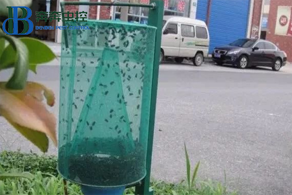 消滅蒼蠅，你知道有多少招嗎？