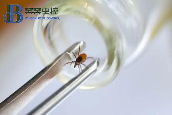 親近大自然，謹(jǐn)防被蜱蟲(chóng)&ldquo;叮&rdquo;上