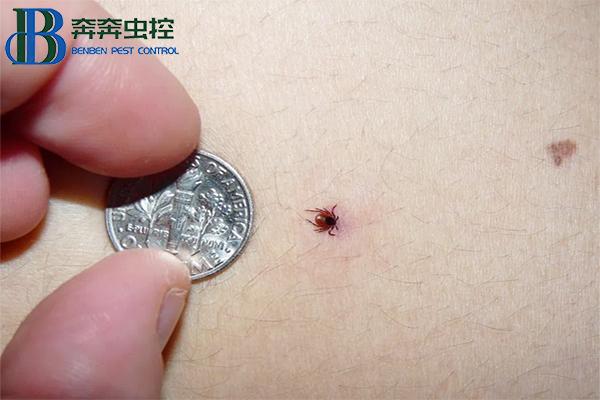 &ldquo;蟲(chóng)出沒(méi)請(qǐng)注意&rdquo;，蜱蟲(chóng)進(jìn)入活躍期！