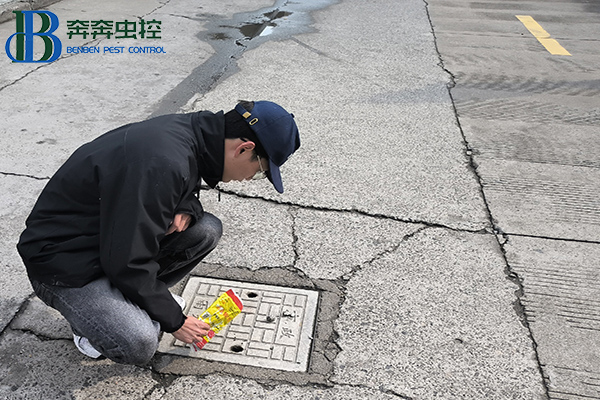 &ldquo;衛(wèi)&rdquo;愛(ài)守護(hù)，健康校園！消滅四害，人人有責(zé)